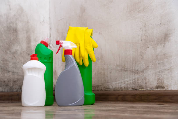 Best Mold Odor Removal Services  in Dunkirk, NY